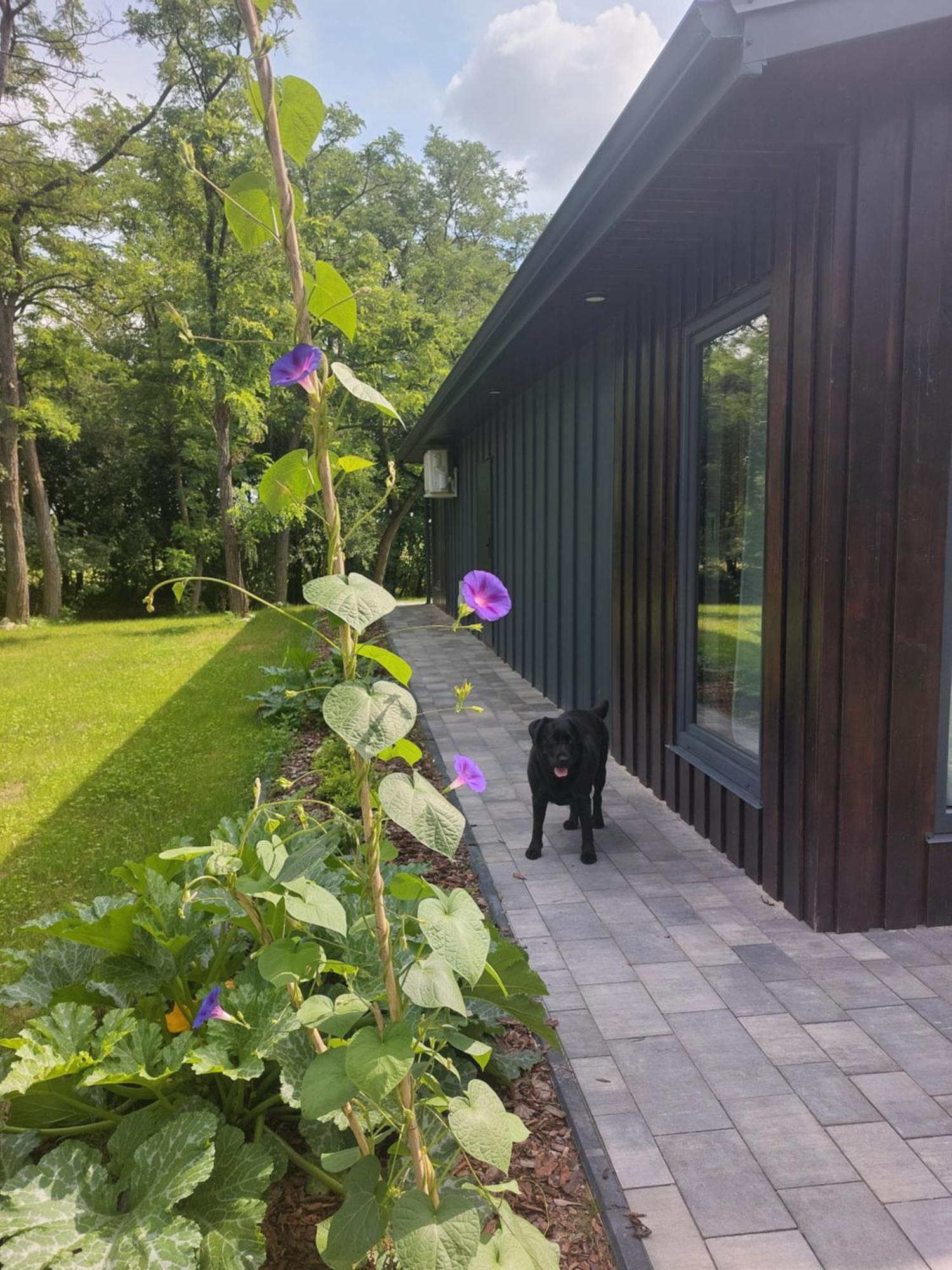 Chalet Figarnia Na Roztoczu *